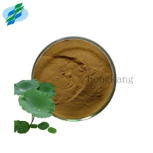 Lotus Leaf Extract Nuciferine Weight Loss Powder Nuciferine